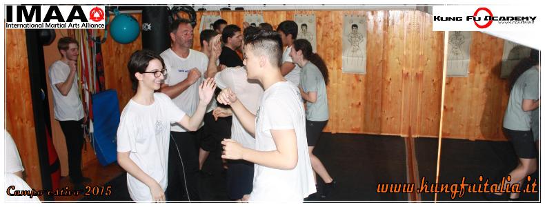 www.kungfuitalia.it kung fu academy di Sifu Salvatore Mezzone scuola di wing chun tjun tsun caserta italia imaa arti marziali e difesa personale tai chi (41)